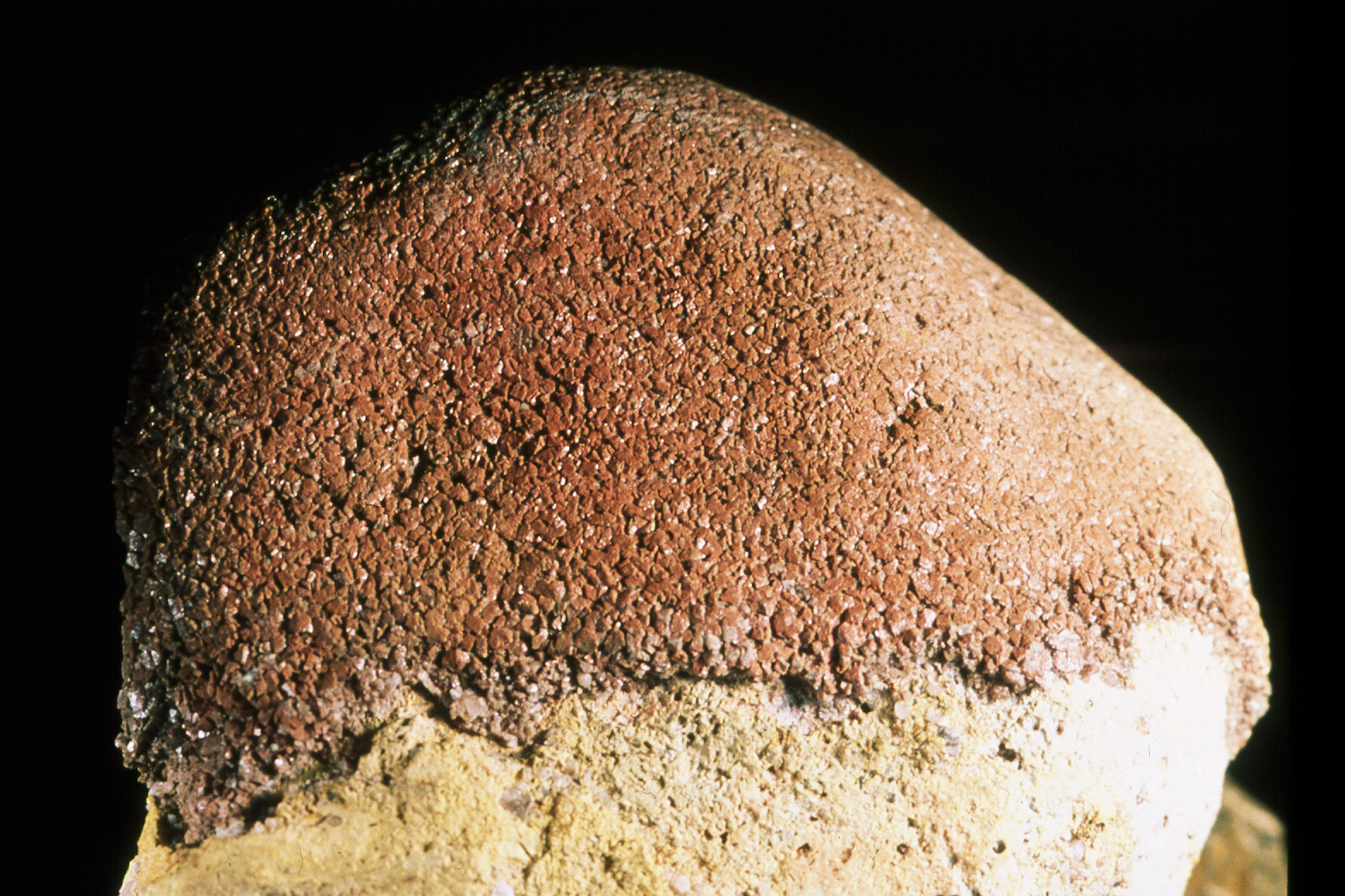 跟神保小虎有關的相片,第1張